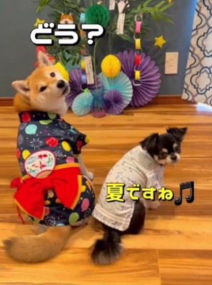 季節を取り入れるのは基本だよね♪