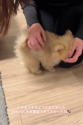 「もっと褒めて～」