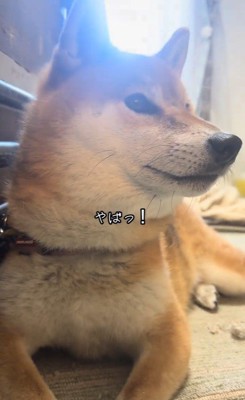 イタズラ中のぬん君6