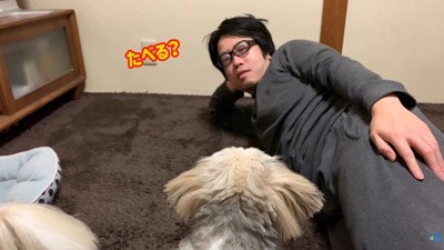 みかんを食べたいてんぽさん