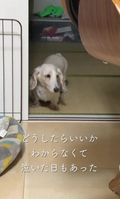 悩みは尽きなかったそう