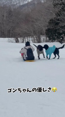 後ろに向かって滑り出す女性が乗ったソリ