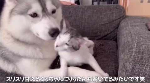 くぅちゃんを離さないりりたん9