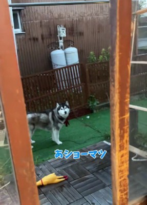雨の中をのんびり散策