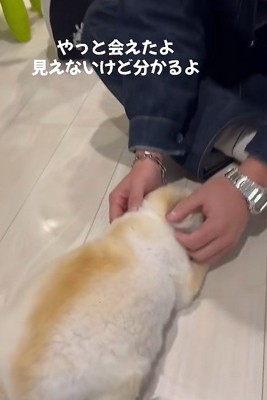 「会えてよかった」