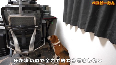 健気に待っている姿にキュン!