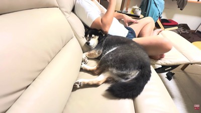 仲良くリラックス♪