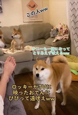 一緒になって吠えるケニーくん