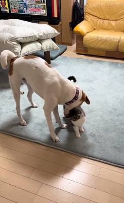 手加減する大夢くん