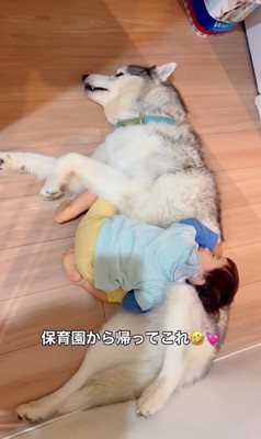 星凪くんと男の子の日常