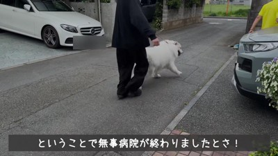 「もう帰る！」
