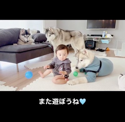 ほっこりしちゃいます