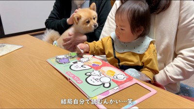 本で遊ぶ赤ちゃんを見つめる犬