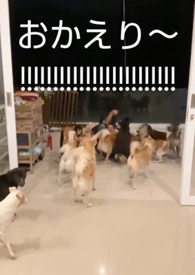 後ろに転倒するお父さん