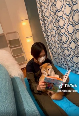 読み聞かせする飼い主さん