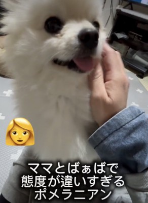 おめめクリクリ