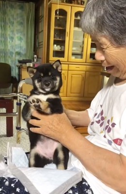 カメラ目線のあさちゃん