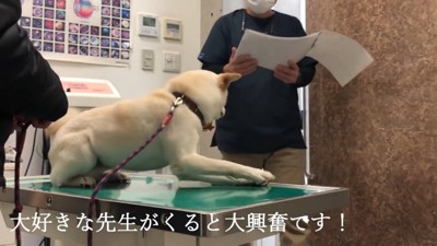 先生の登場に大喜び！
