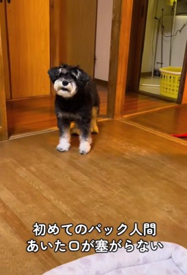 不信感いっぱいの表情に!