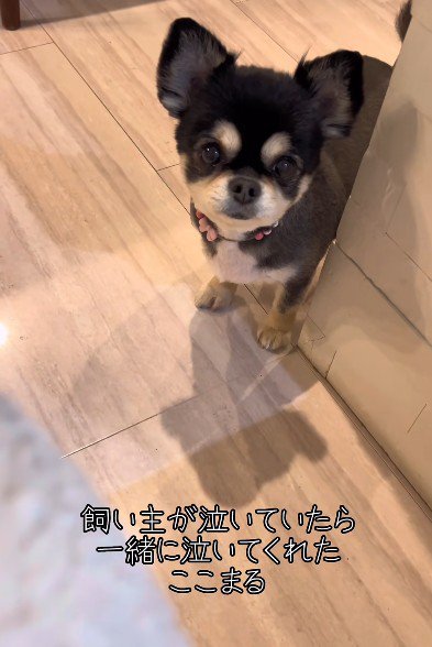 涙を流していたら…