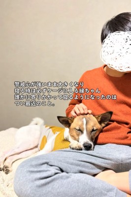 家族に寄りかかって眠る犬