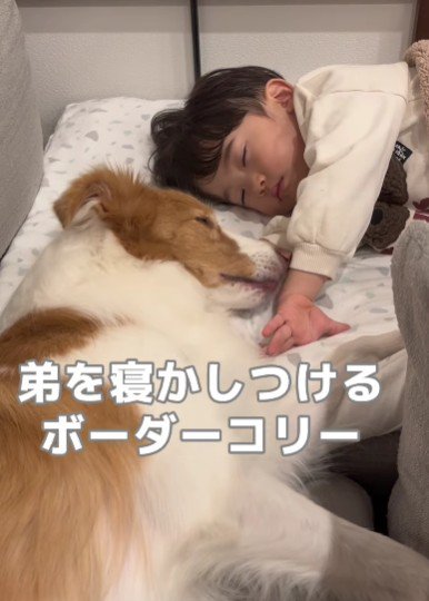 子守りも出来る♡