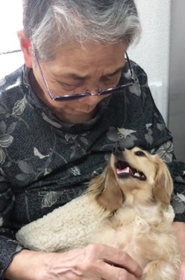 わんこたちにも大人気♡