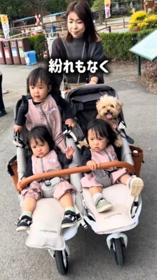 女性が引くカートに乗って散歩をする犬と3人の赤ちゃん