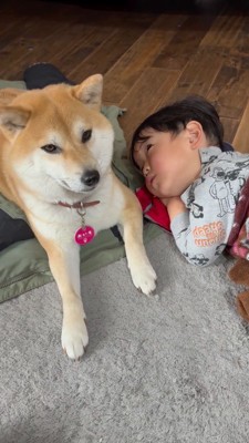男の子の横に座ってカメラを見つめる犬