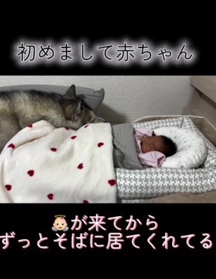 ただただ寄り添う…