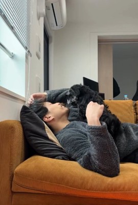 飼い主さんに乗る犬