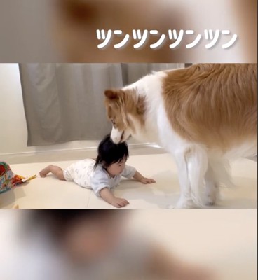 仲良くなれた!?