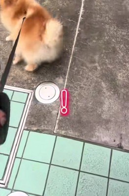 「ここ動物病院じゃん!!」