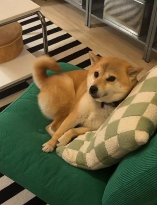 「立たないけどね…」