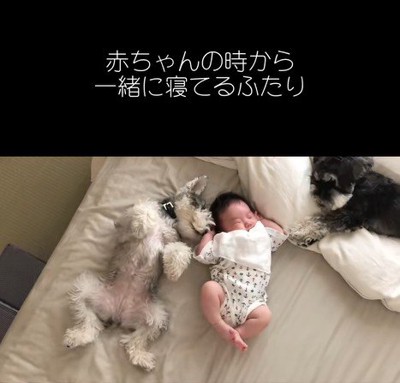 一緒に寝るトトちゃんと女の子