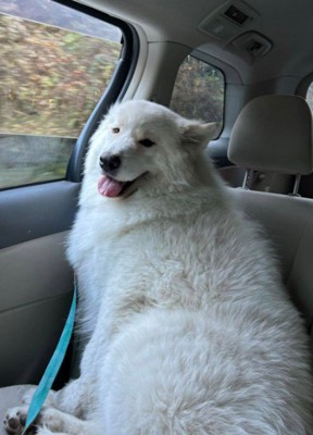 人を惹き付ける力がある？