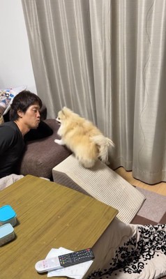 ボールを取ってもらいたいクララちゃん7