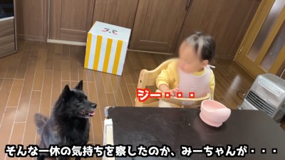 見つめ合う2人…