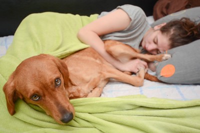 カメラ目線で寝転ぶ犬