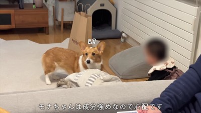 舐めるのを注意されると…