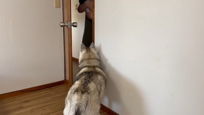 初対面の瞬間…