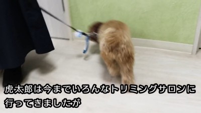 「このニオイは…」