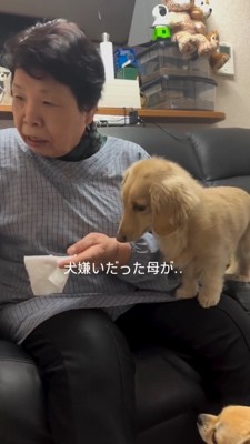 犬嫌いな母が…