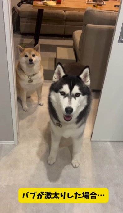 激太りさせたら…