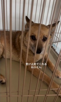 おふとん君と男の子8