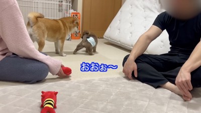 ひまりちゃん、初めて怒った！