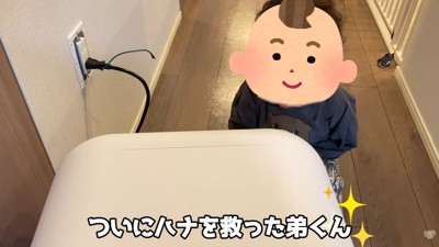 ついにハナちゃんを助けられました♪