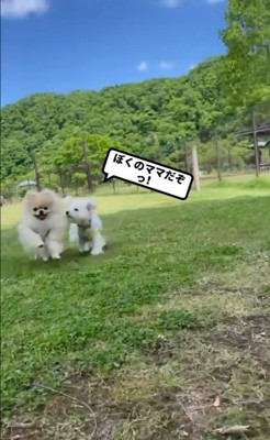 お友達に嫉妬されたむぎ君4