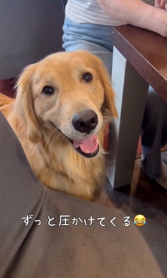 サンちゃんの熱烈歓迎⑩