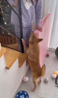 らむねちゃんとお姉ちゃんの再会9